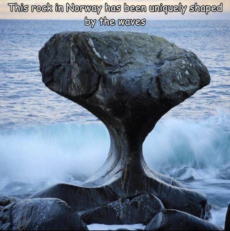 kannesteinen rock - This rock in Norway has been uniquely shaped by the waves 90