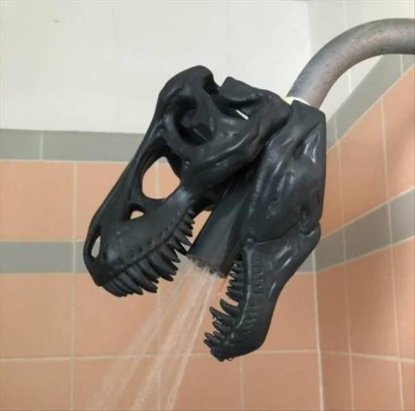 cool and interesting random pics -  dinosaur skull shower head
