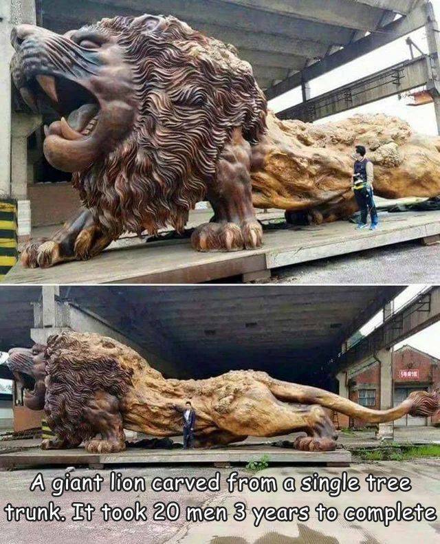 cool and interesting random pics -  giant lion carved from redwood tree - S1 A giant lion carved from a single tree trunk. It took 20 men 3 years to complete