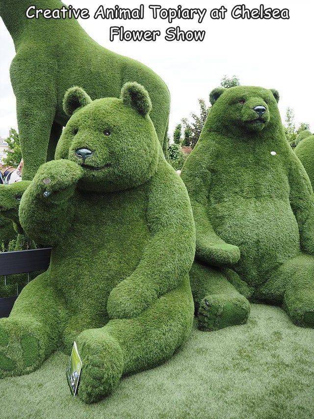 cool and interesting random pics -  buxus animal shapes - Creative Animal Topiary at Chelsea Flower Show E