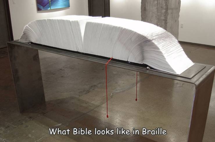 funny photos - fun randoms - braille bible - What Bible looks in Braille