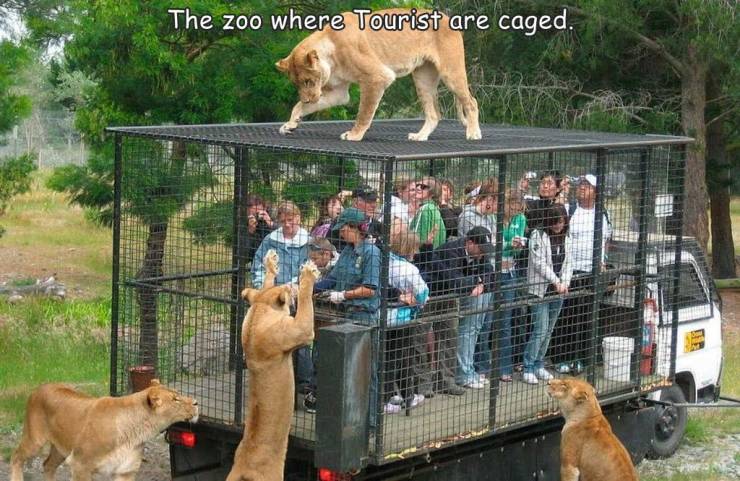 random pics - ranikhet jim corbett nainital - The zoo where Tourist are caged.