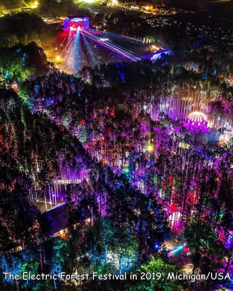 funny photos - electric forest festival - Ree The Electric Forest Festival in 2019, MichiganUsa