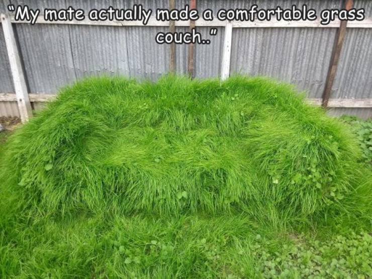 fun randoms - cool pics - grass - "My mate actually made a comfortable grass couch.."