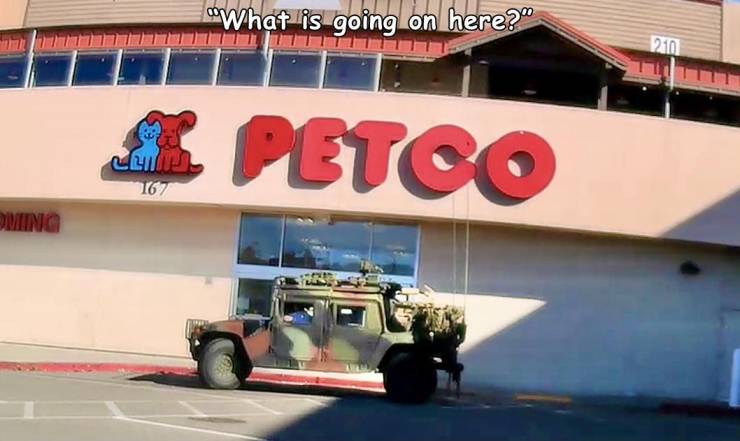 cool photos - fun pics - car - What is going on here?" 2010 K Petco 167 Ewing