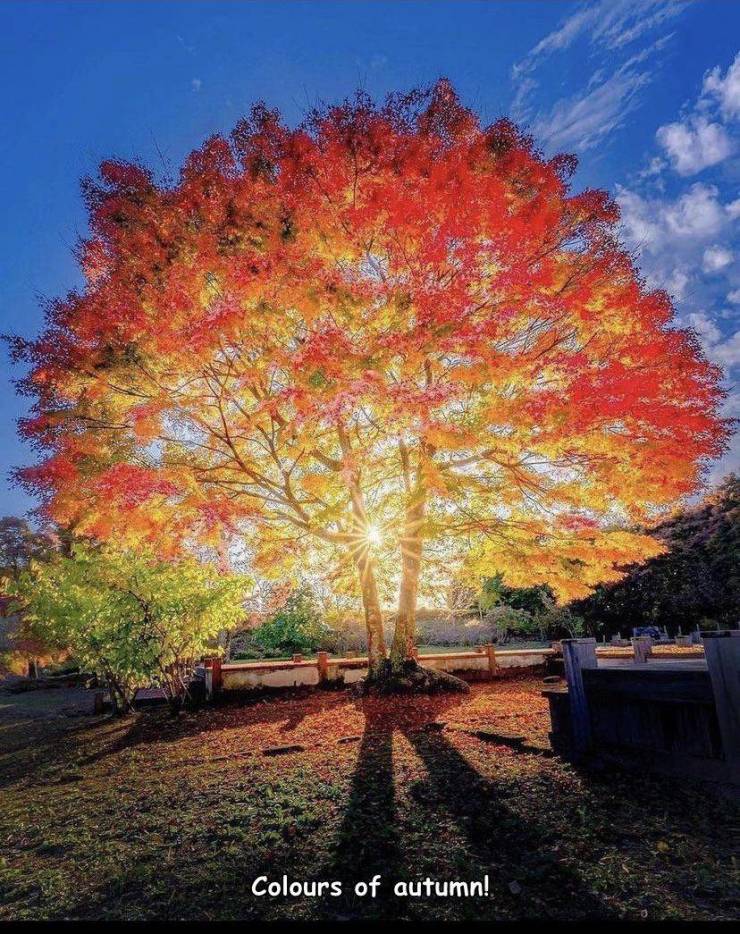 cool photos - fun pics - nature - Colours of autumn!