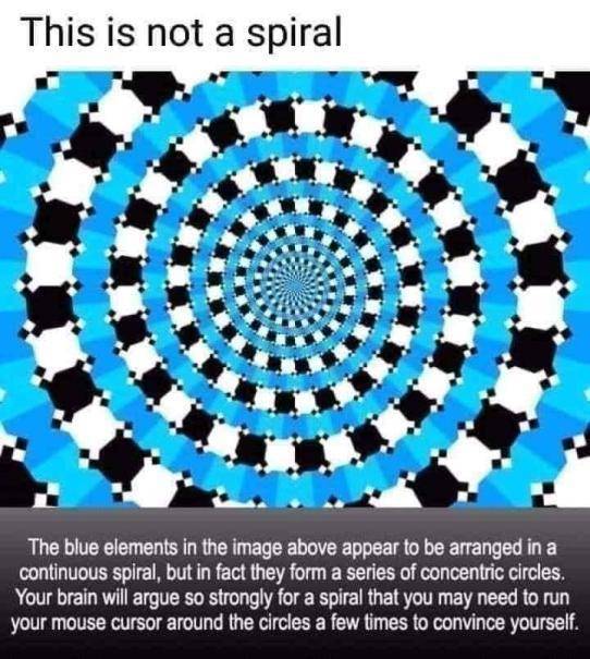 not a spiral - This is not a spiral The blue elements in the image above appear to be arranged in a continuous spiral, but in fact they form a series of concentric circles. Your brain will argue so strongly for a spiral that you may need to run your mouse