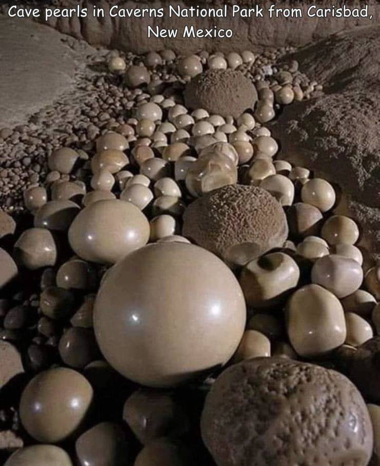 cave pearls - Cave pearls in Caverns National Park from Carisbad, New Mexico