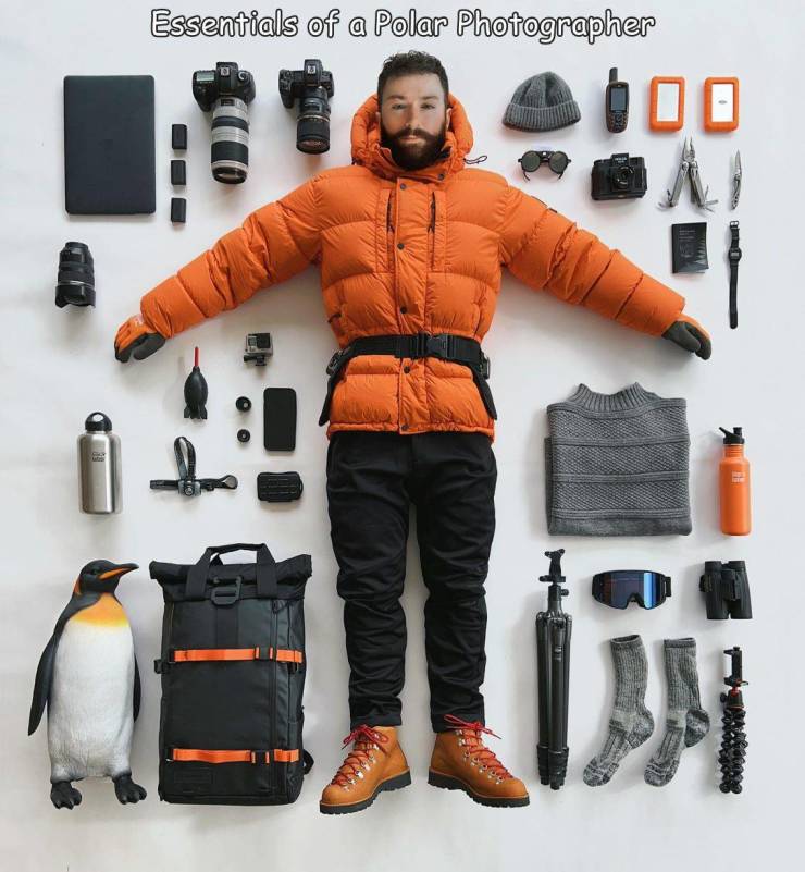 fun randoms - orange - Essentials of a Polar Photographer boo Ai Am