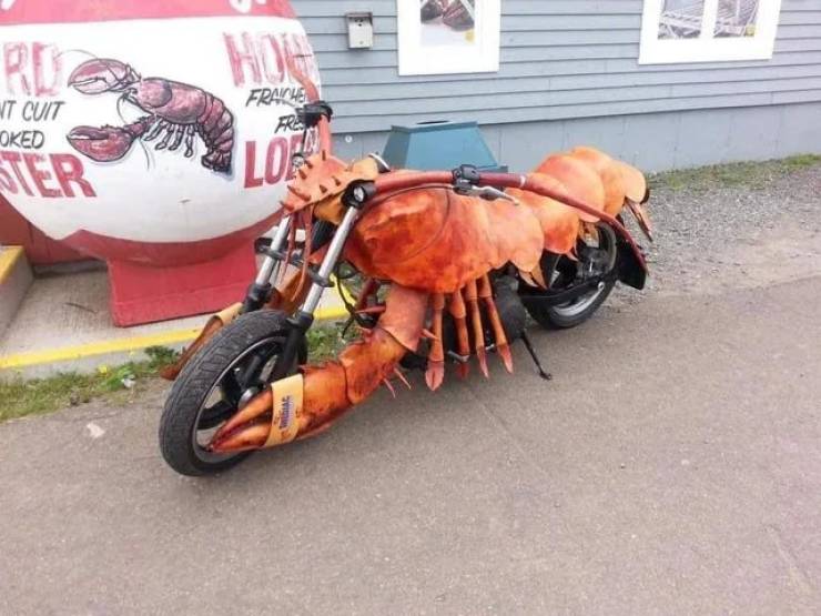 funny photos - cool pics - lobster chopper