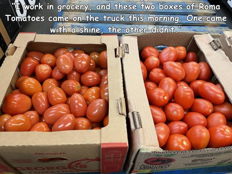 cool random pics - natural foods - worl work in grocery, and these two boxes of Roma Tomatoes came on the truck this morning. One came with a shine, the other didn't. 9 Cooled Cabatlonde