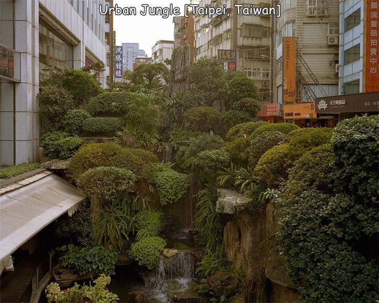 random photos - urban jungle taipei taiwan - Urban Jungle Taipei, Taiwan Chime sgs 7 Be