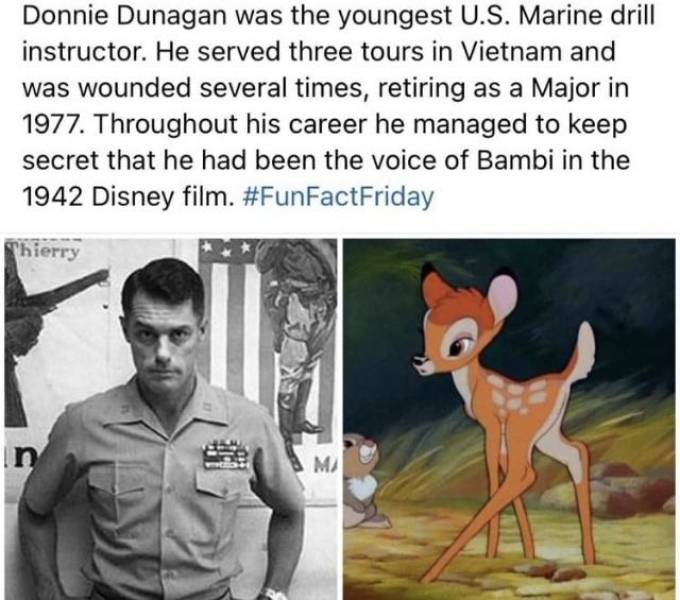 fun randoms - funny photos - donnie dunagan - Donnie Dunagan was the youngest U.S. Marine drill instructor. He served three tours in Vietnam and was wounded several times, retiring as a Major in 1977. Throughout his career he managed to keep secret that h