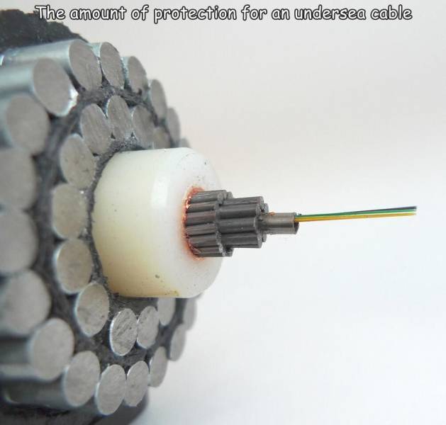 fun randoms - underwater fiber optic cable - The amount of protection for an undersea cable