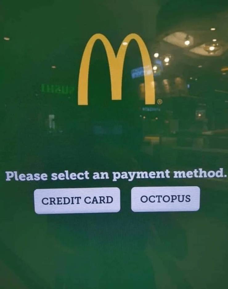 fun randoms - eric andre octopus - m Please select an payment method. Credit Card Octopus