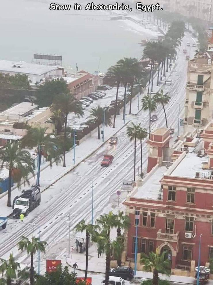 Alexandria - Snow in Alexandria, Egypt.