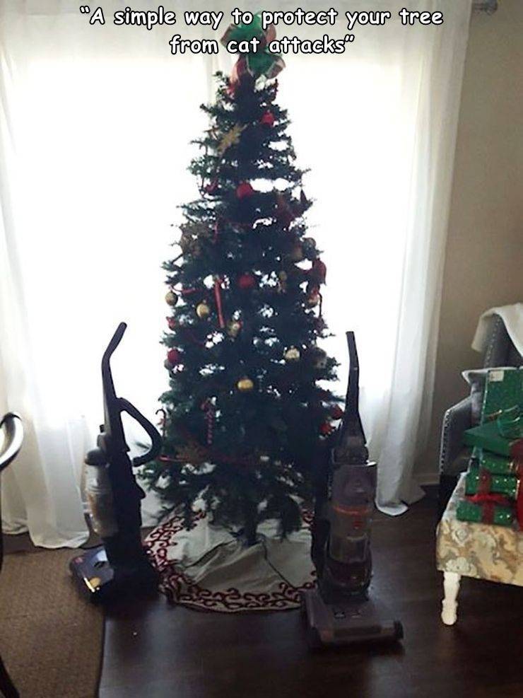 cat proof christmas tree - A simple way to protect your tree from cat attacks