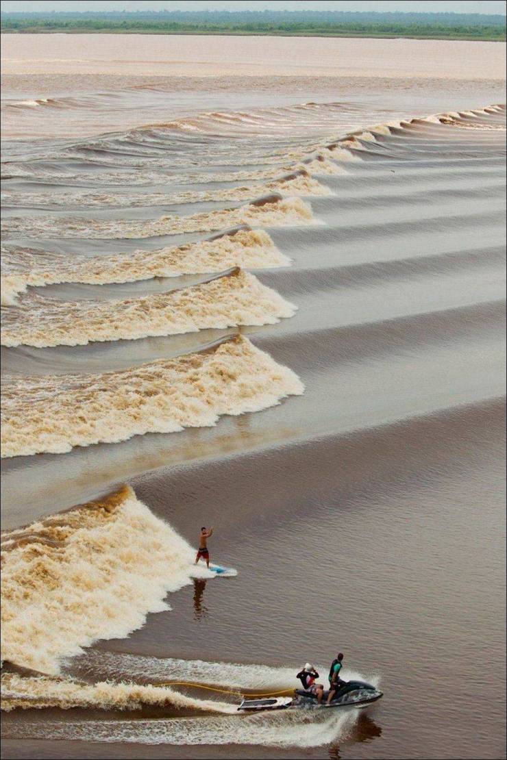 surfing tidal bore