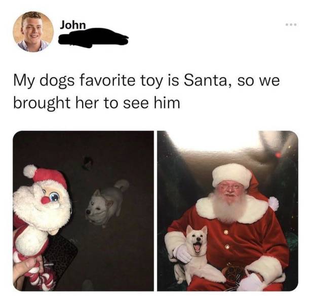 fun pics - my dog's favorite toy is santa - John My dogs favorite toy is Santa, so we brought her to see him