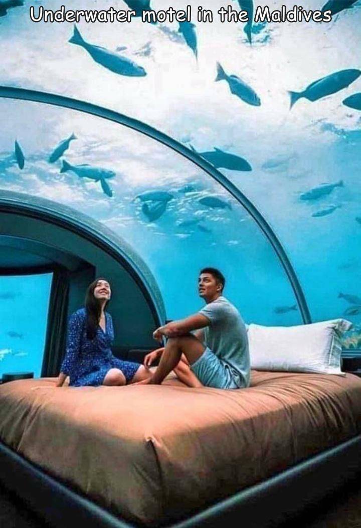 fun pics - muraka hotel - Underwater motel in the Maldives
