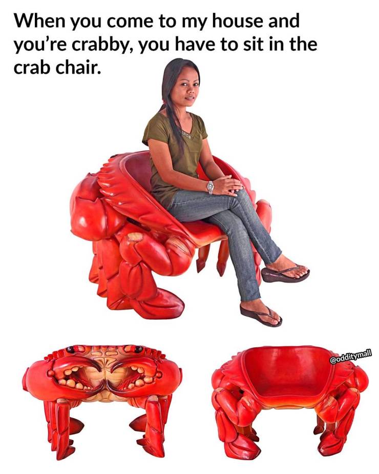 fun pics - crab chair - When you come to my house and you're crabby, you have to sit in the crab chair. Auror