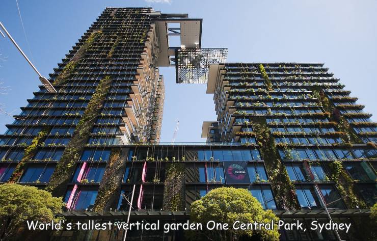 fun randoms - Velhi Central M World's tallest svertical garden One Central Park, Sydney
