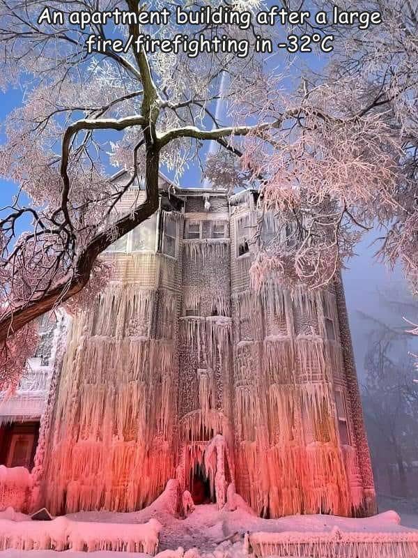 fun randoms - tree - An apartment building after a large firefirefighting in 32C