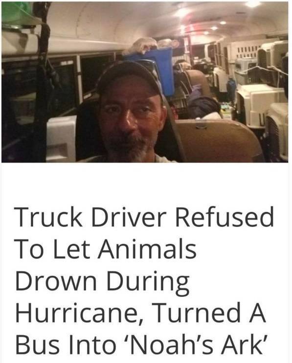 fun randoms - photo caption - Truck Driver Refused To Let Animals Drown During Hurricane, Turned A Bus Into 'Noah's Ark'