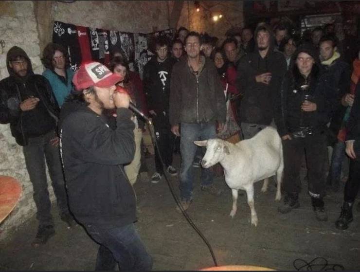 fun randoms - concert goat - Sph