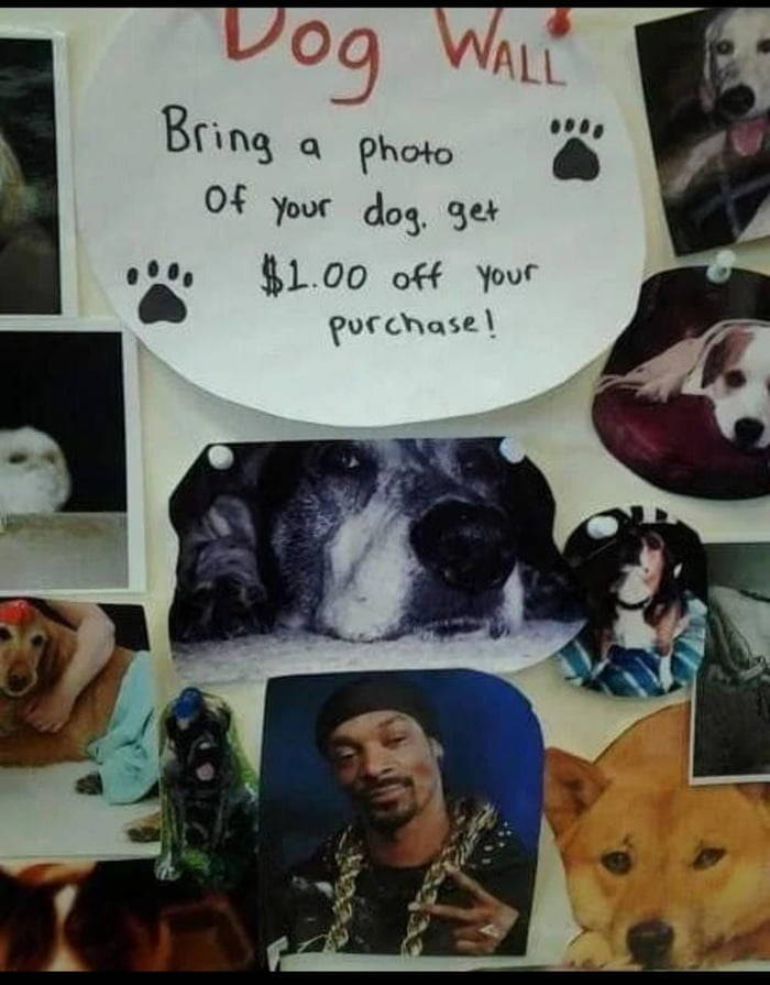 fun randoms - snoop dogg - Dog Wall a Bring photo of your dog, get $1.00 off your purchase!
