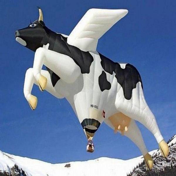 cow hot air balloon - Hool