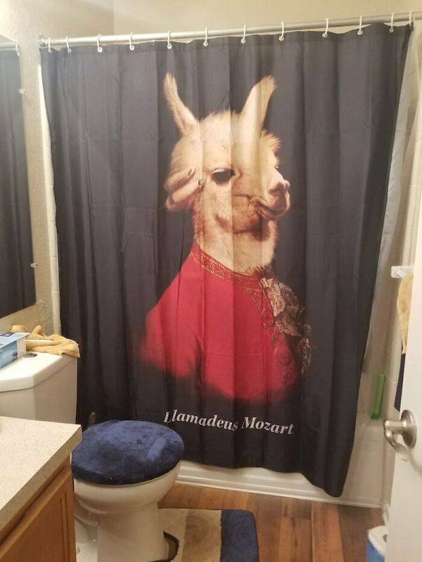 meme shower curtain