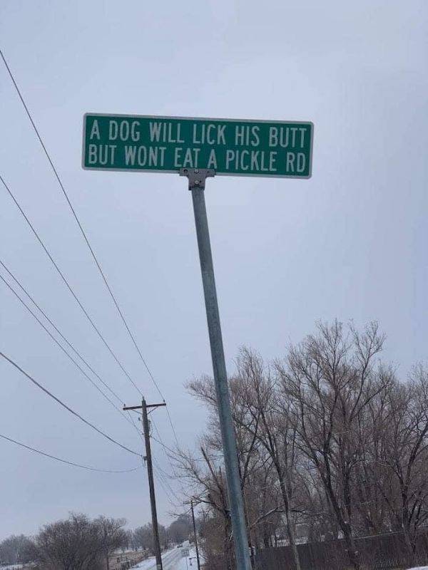 street sign - A Dog Will Lick His Butt But Wont Eat A Pickle Rd
