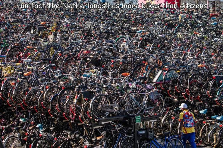 fun randoms - funny photos - crowd - Fun fact the Netherlands has more bikes than citizens