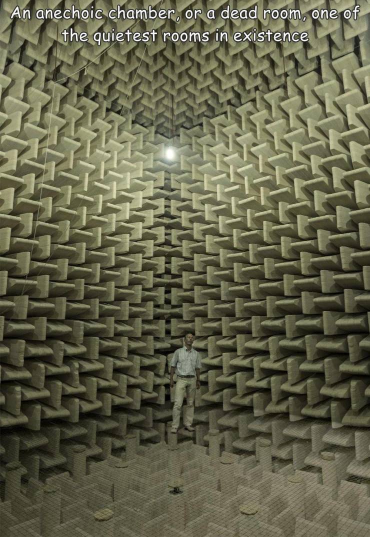 fun randoms - funny photos - symmetry - An anechoic chamber, or a dead room, one of the quietest rooms in existence