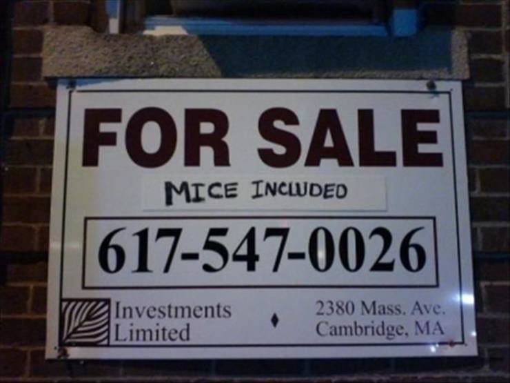 vehicle registration plate - For Sale Mice Incwded 6175470026 Investments Limited 2380 Mass. Ave. Cambridge, Ma