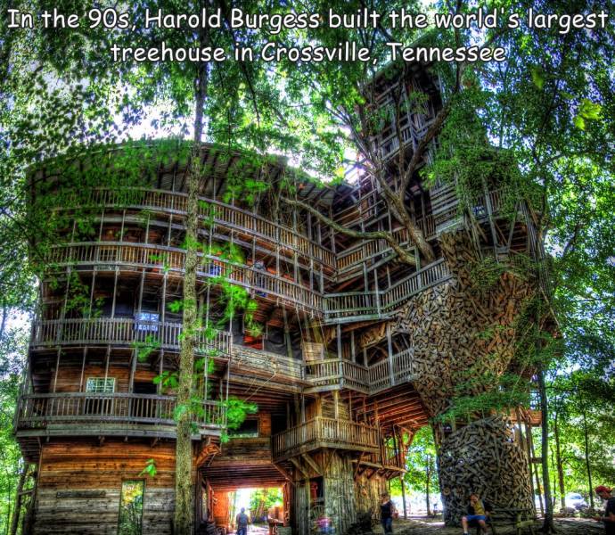 fun randoms - big fancy treehouses - In the 90s, Harold Burgess built the world's largest treehouse in Crossville, Tennessee