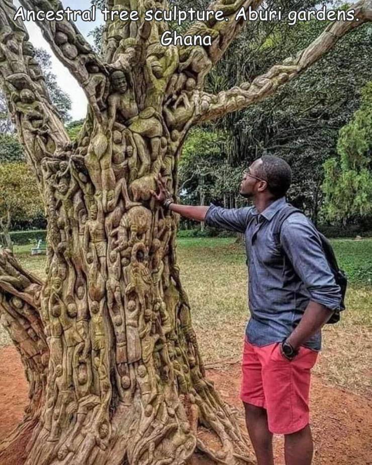 artist unknown sculpted dead tree that has stood for over 300 years from aburi botanical gardens located in aburi ghana the carving depicts proverbial people walking on top of each other to get to the top and the chief is always at the top - Ancestral tre