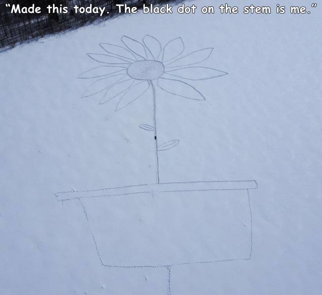 fun randoms - cool photos -  sky - "Made this today. The black dot on the stem is me.
