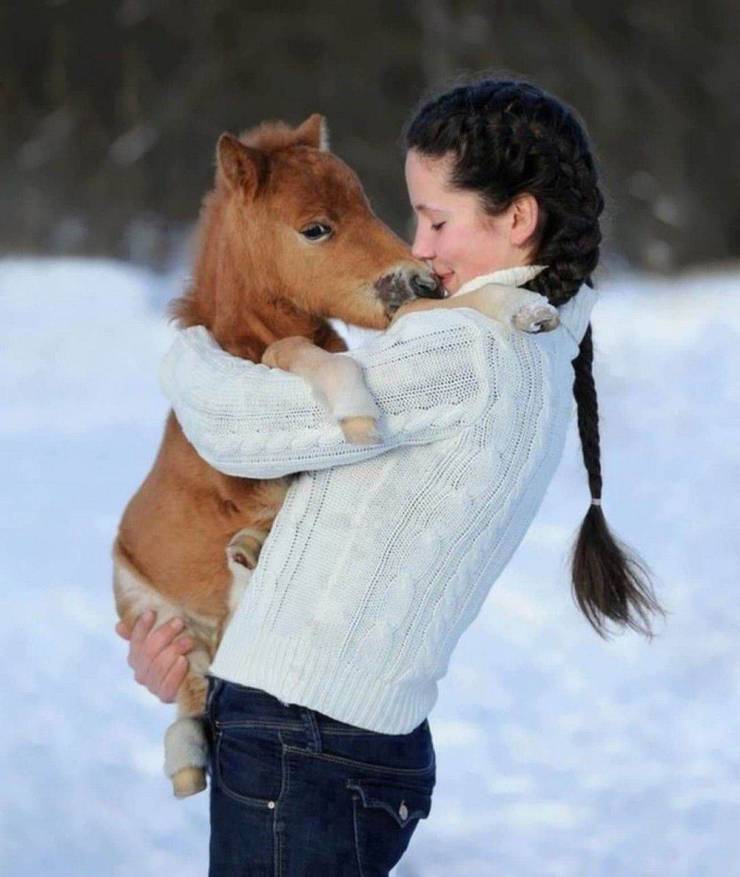 fun randoms - cool photos -  miniature horse pet