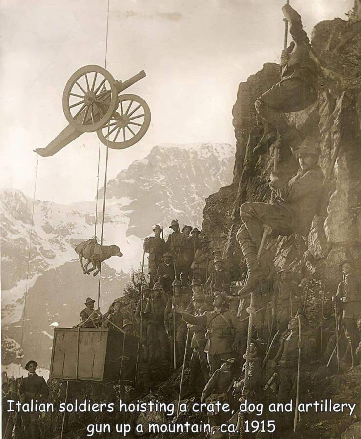 fun randoms - ww1 alps - Italian soldiers hoisting a crate, dog and artillery gun up a mountain, ca. 1915