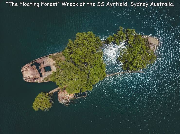 fun randoms - shipwreck top view - "The Floating Forest" Wreck of the Ss Ayrfield, Sydney Australia.