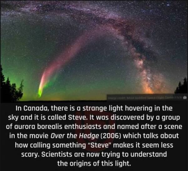fun rnadoms - nature - In Canada, there is a strange light hovering in the sky and it is called Steve. It was discovered by a group of aurora borealis enthusiasts and named after a scene in the movie Over the Hedge 2006 which talks about how calling somet