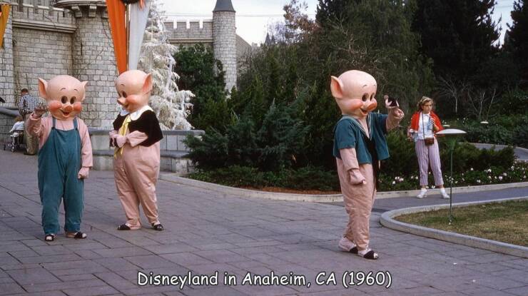 fun randoms - funny photos - photograph - Disneyland in Anaheim, Ca 1960