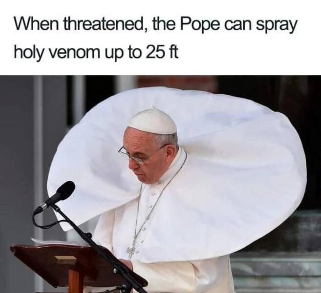 fun randoms - funny photos - funny pope - When threatened, the Pope can spray holy venom up to 25 ft