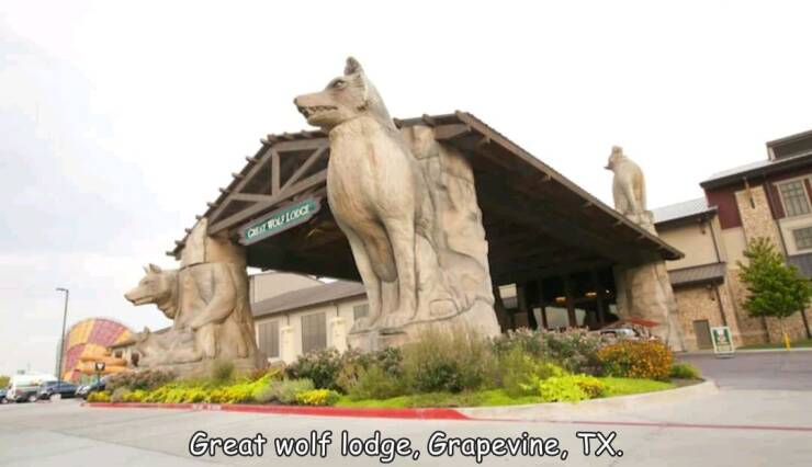 funny photos - great wolf lodge houston - Altruir Great wolf lodge, Grapevine, Tx.