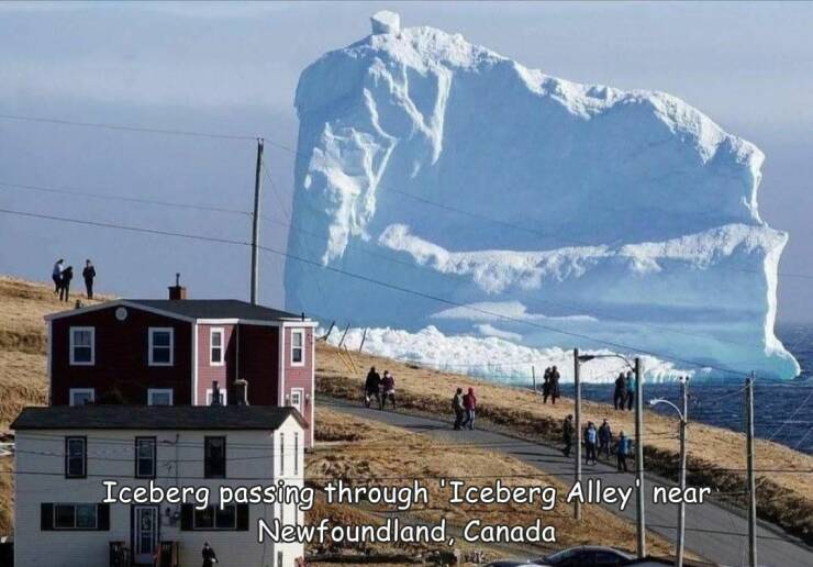 funny photos - iceberg floating by town - Do Iceberg passing through 'Iceberg Alley' near Newfoundland, Canada