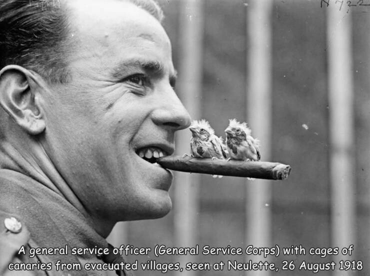 fun randoms - cool stuff - thomas keith aitken - A general service officer General Service Corps with cages of canaries from evacuated villages, seen at Neulette,