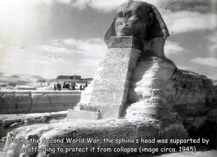 fun randoms - funny photos - landmark - During the Second World War, the sphinx's head was supported by scaffolding to protect it from collapse image circa. 1945