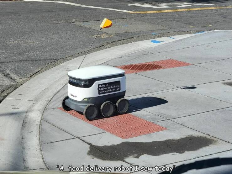 fun randoms - funny photos - car - Hungry? I deliver to the Pack 10 "A food delivery robot I saw today"